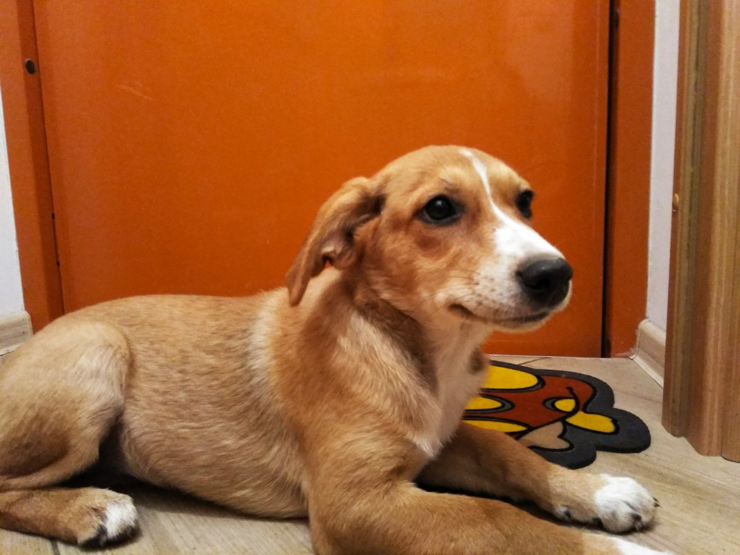 изображение_viber_2019-09-21_18-23-25