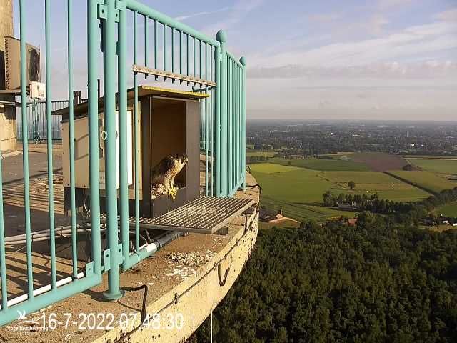 campics © VWGGemert vanaf 1 juli 2022 - Pagina 6 6