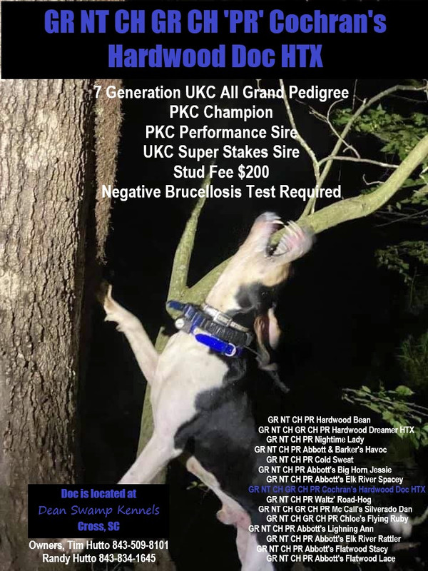 59868703-4535-4AEC-86DA-7F5FFA697873