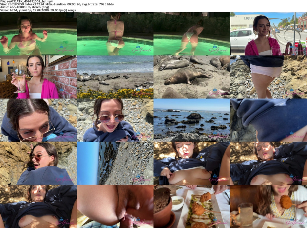 18082024081628screenshot