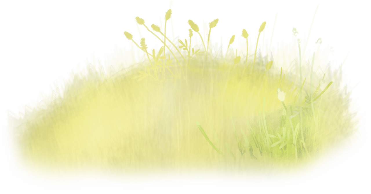 emeto_summer playground_grassy overlay