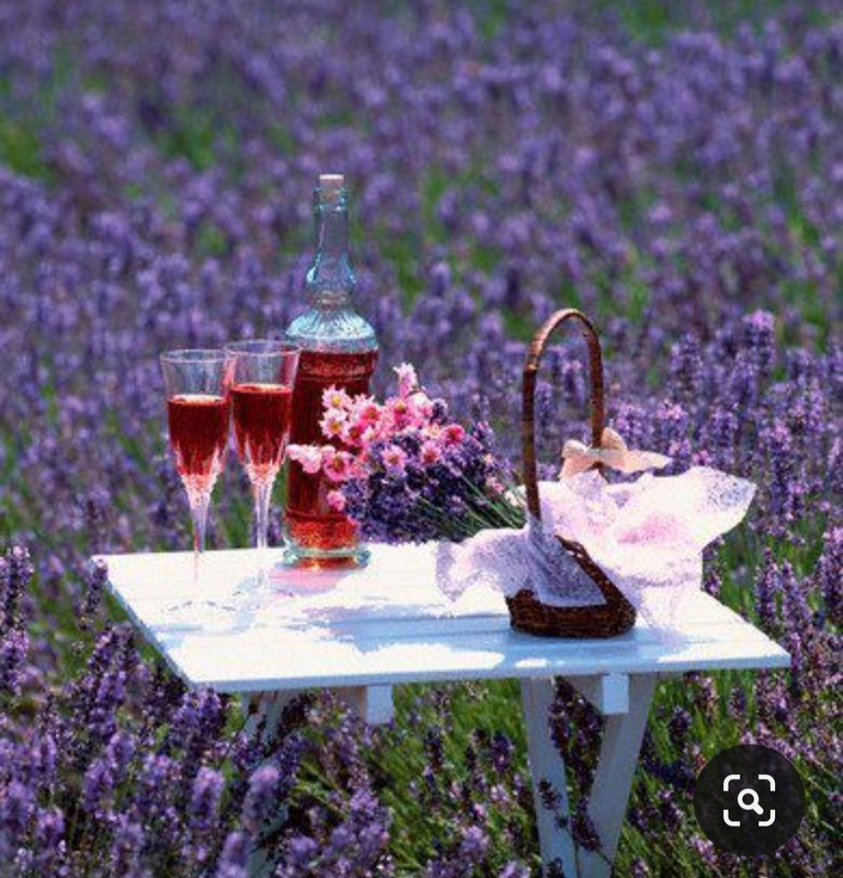 Screenshot_20230717_225854_Pinterest