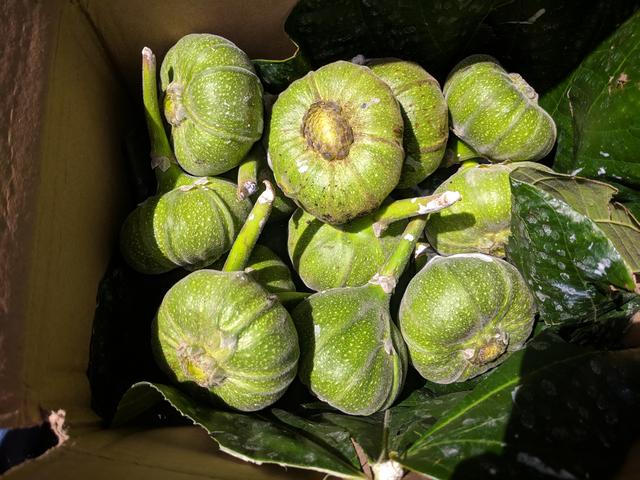 [Image: IMG-20180708-114043.jpg]
