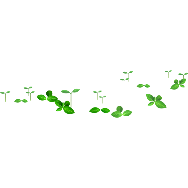 KBK_ForestSchool (29)