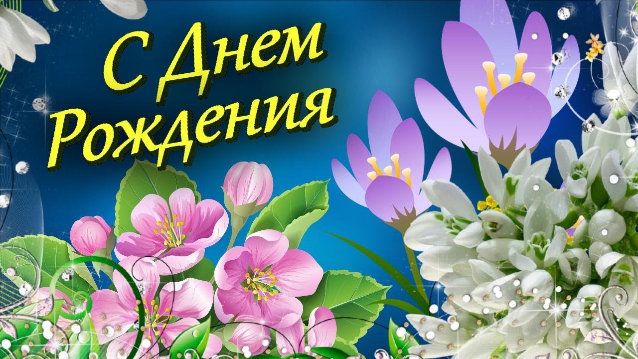 https://i.postimg.cc/Jnx5Q8Bn/maxresdefault.jpg