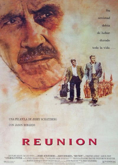reunion-1989-multi-1080p-web-x264-provid