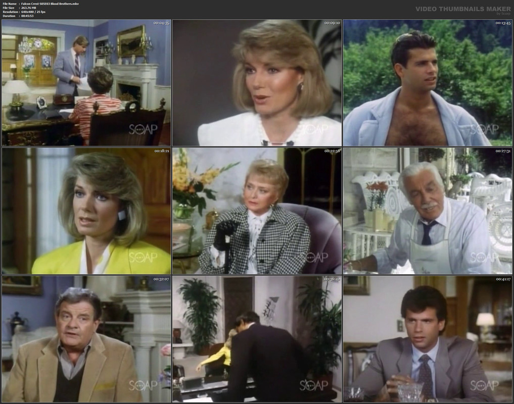 Falcon Crest S05E03 Blood Brothers.mkv