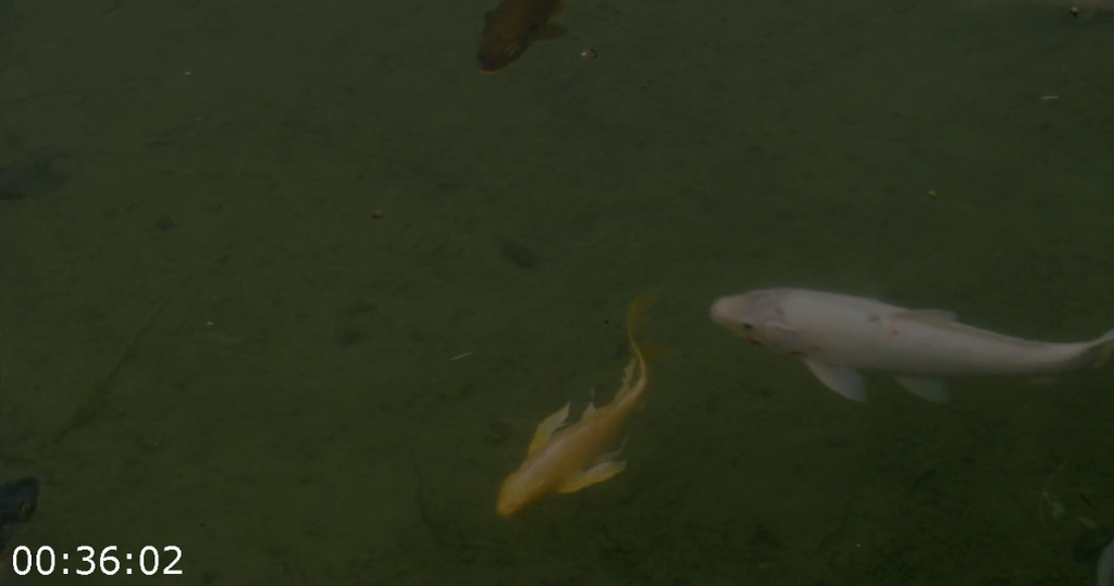 [Kép: Blood-Badge-2025-720p-WEBrip-x264-AAC.png]