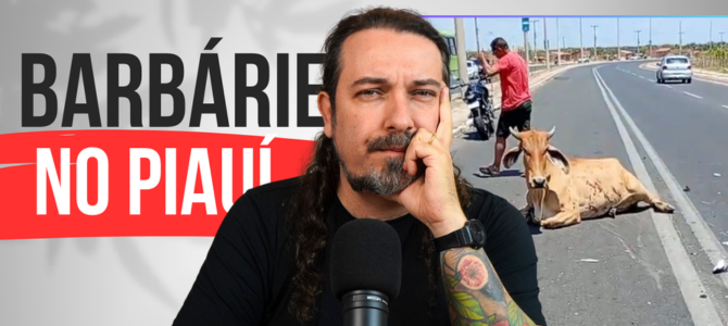 Barbárie no Piauí: vaca esquartejada viva após sobreviver a acidente de trânsito