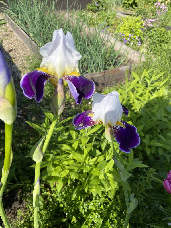 E6A96AE8-D0F5-4A0C-86BC-75B349EC2597