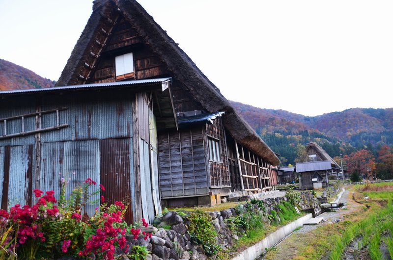 Aldea Histórica de Shirakawa-Go-14-11-2024 - Japón y sus Pueblos-2024 (14)