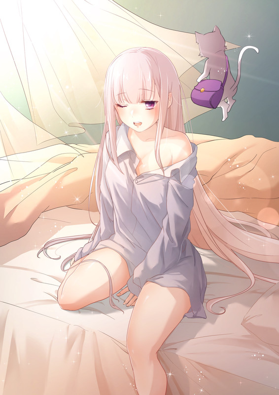 emilia-and-puck-re-zero-kara-hajimeru-isekai-seikatsu-drawn-by