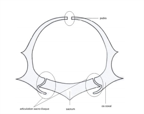 Cours - Google Drive - Google Chrome