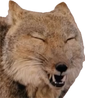 IMG-4537.png