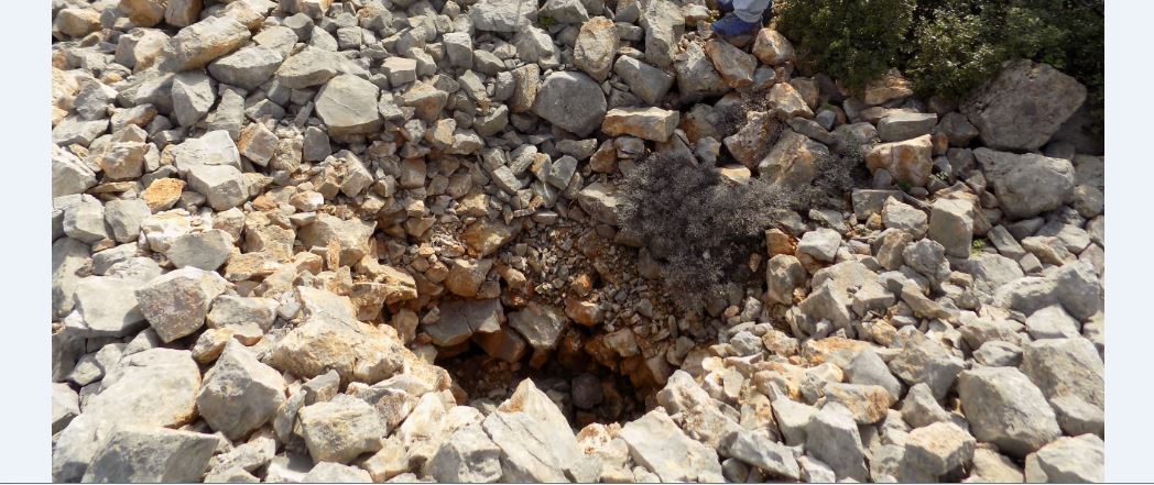 στον πελεκα