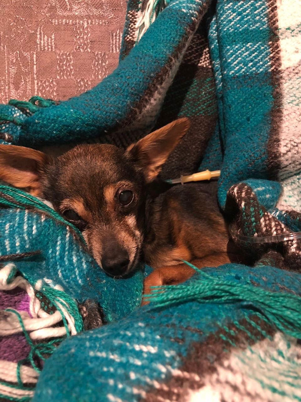 42A83DED-DAB5-47DA-813D-656DB07A81C5