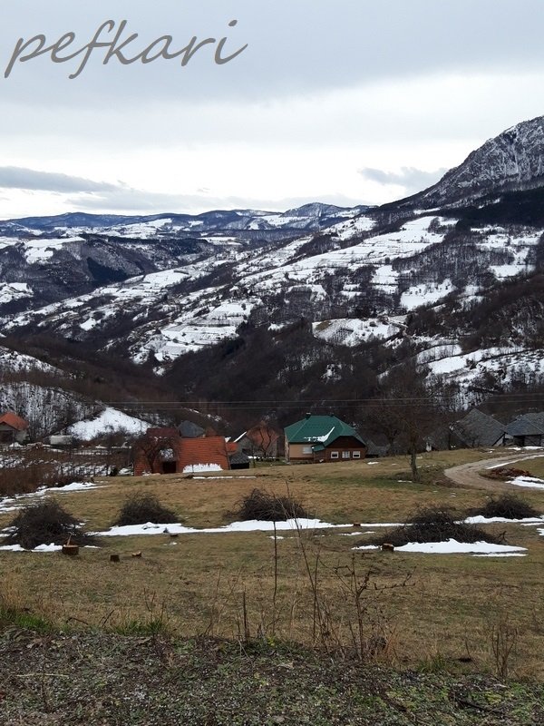 Slika