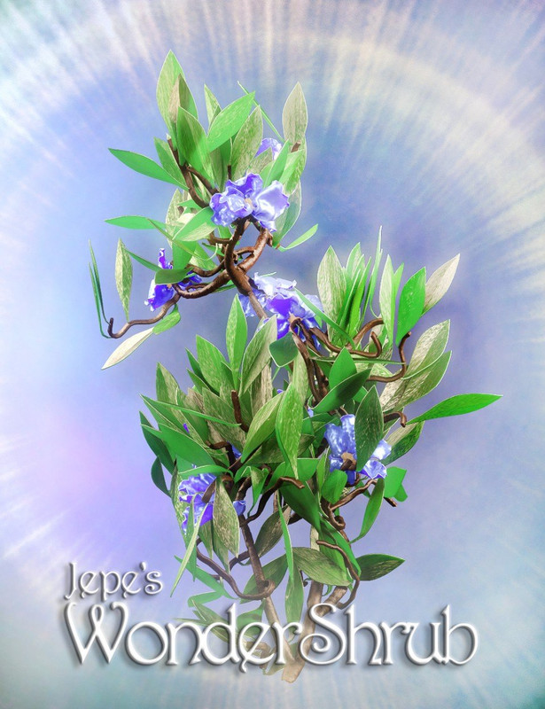 Jepe’s WonderShrub