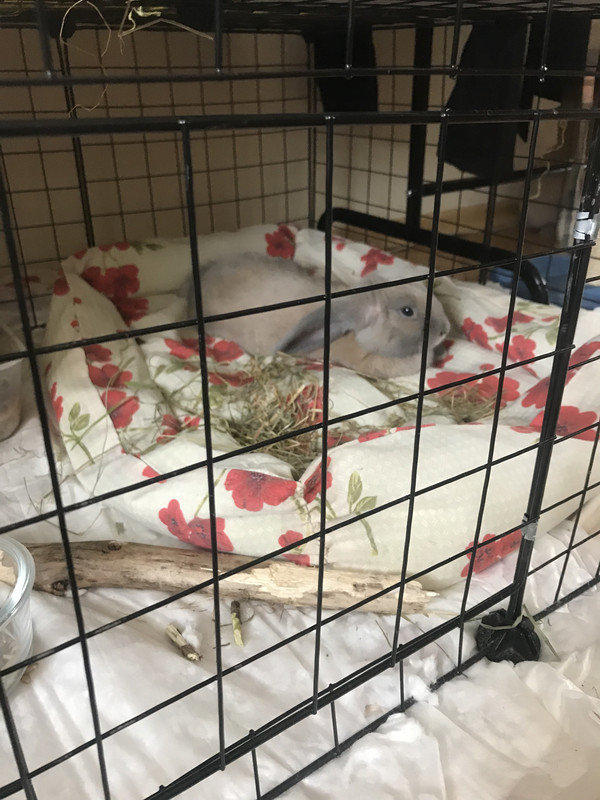 357B0C1B-EAC3-44C9-ABA1-B9BAA2F12E24