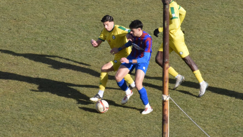 55060354615 b3b53cf65d b