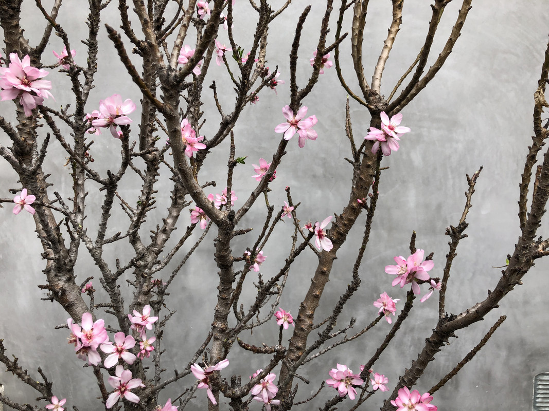 463C0A8F-19D6-4F9D-84AA-CC611E1541B9