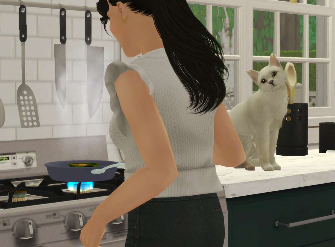 Sims2-EP9-RPC-2023-12-15-22-46-01-41