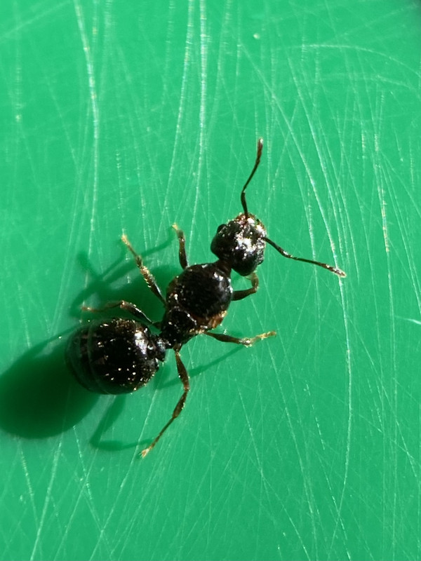 67B5F926-D1EC-48F2-92F1-ADE6D8AF9A4D