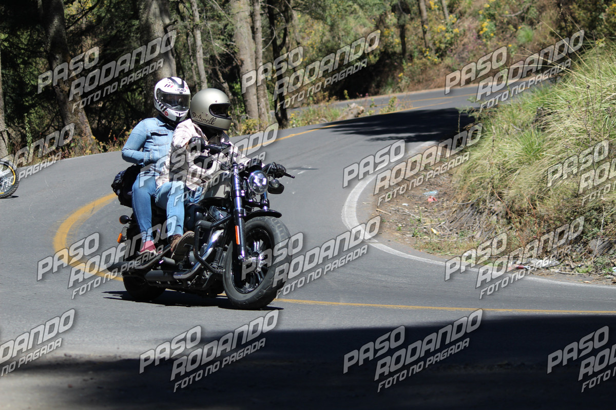 IMG 5738 wm 7649887 2 watermarked — Postimages