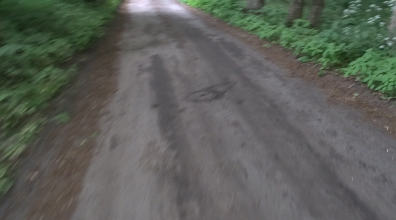 11.19 - Gra terenowa