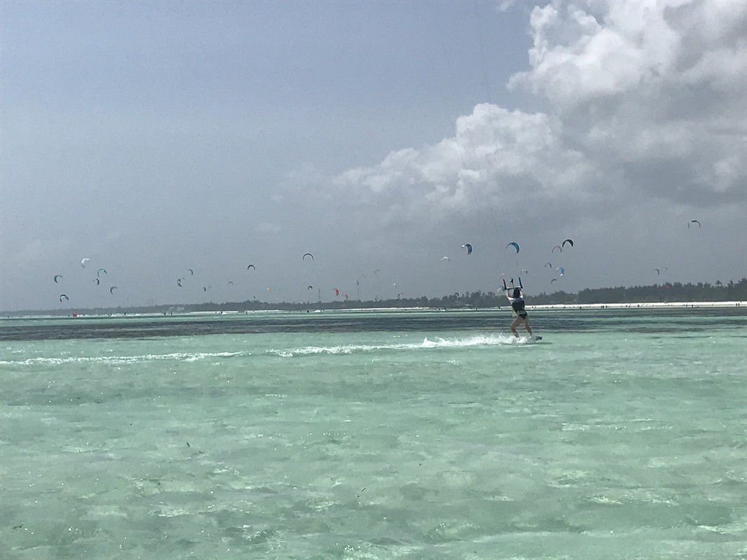 3D141B29-5A3D-4836-B0C4-0D7E66AB228E