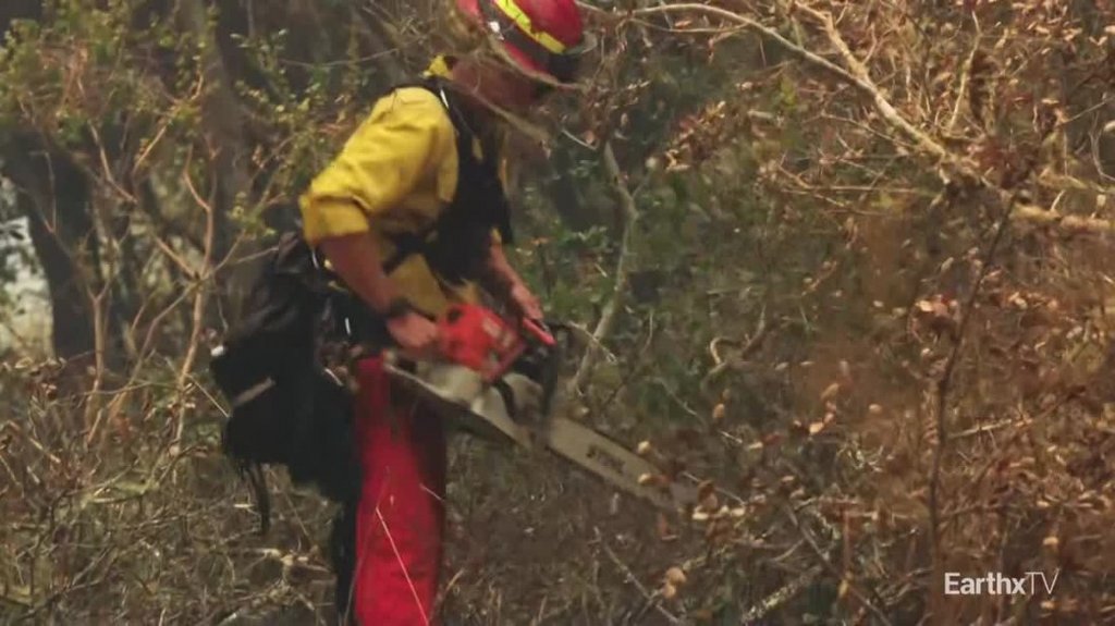 [Image: 7lca42ea4wez.jpg]