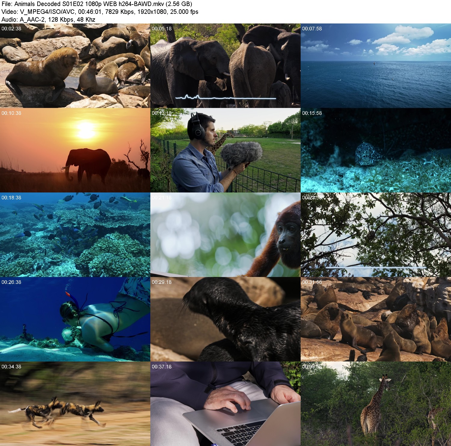 [Image: 1fbms9ezpq26.jpg]