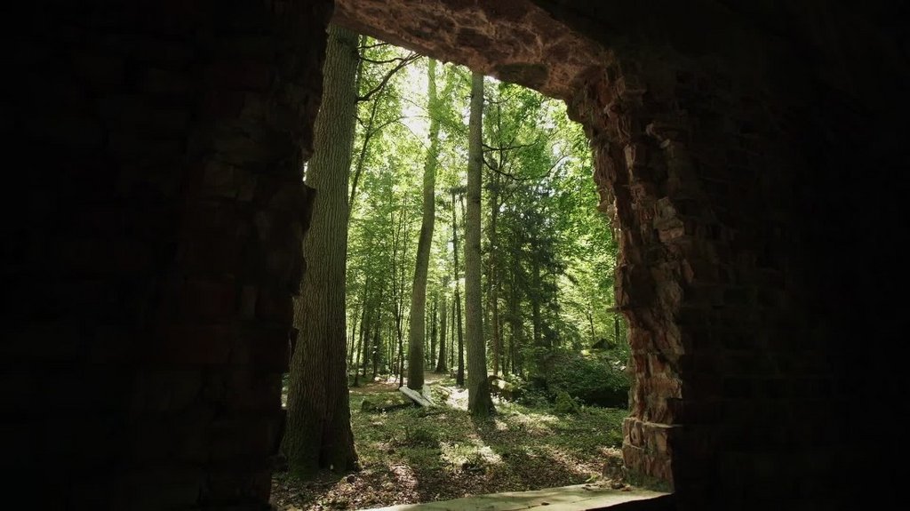 [Image: yczfu6388koi.jpg]