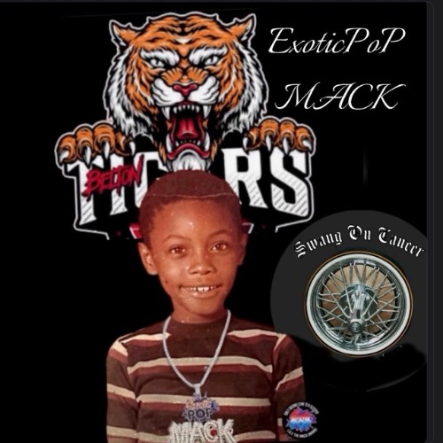 Exotic Pop Mack - Swang On Cancer (2026)