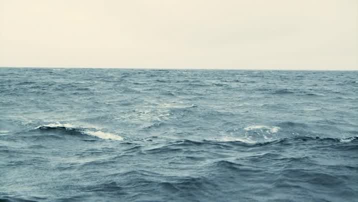 [Image: n8octu4qgs28.jpg]