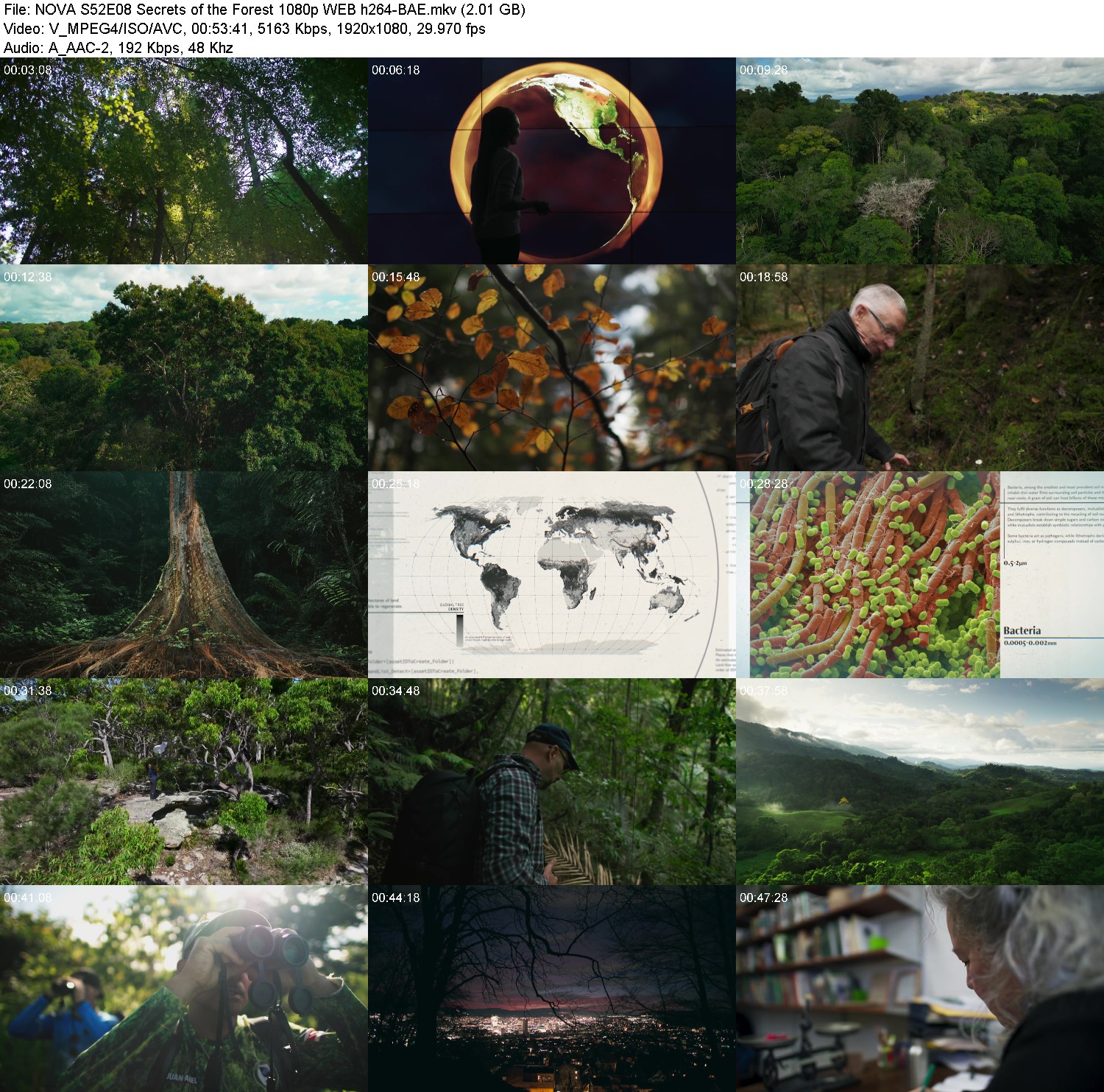 [Image: m5tbd70bcqb4.jpg]