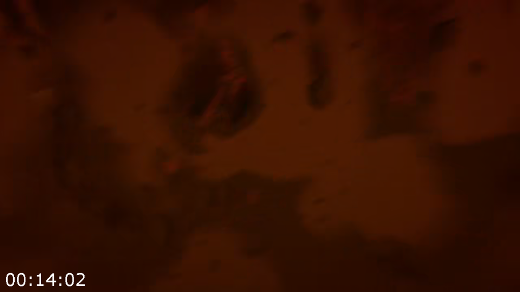 [Image: b9d7txrl95ry.png]