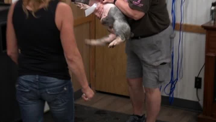 [Image: ch2ub0ds27ci.jpg]