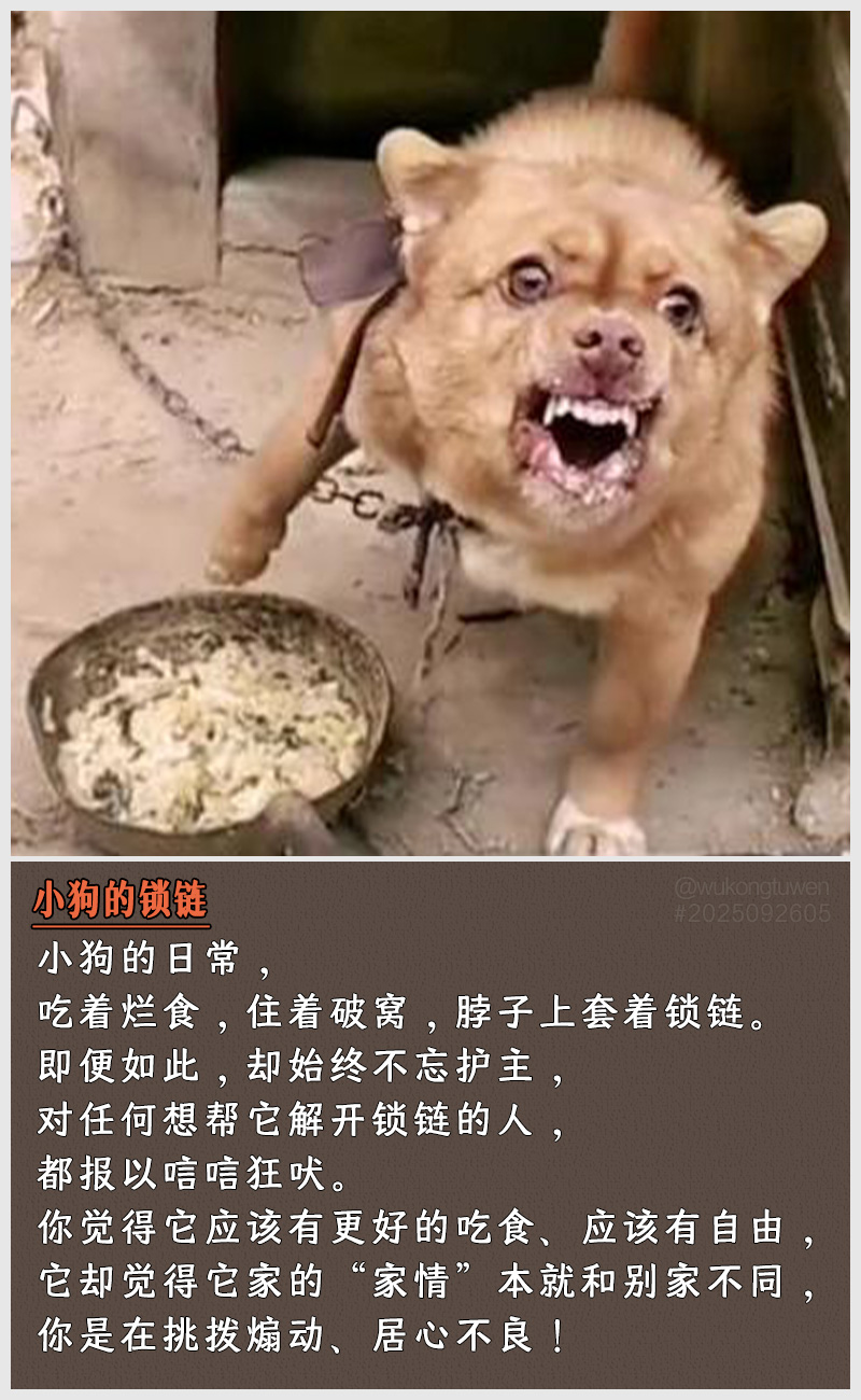 https://i.postimg.cc/JrnwFdV6/2025092605.jpg