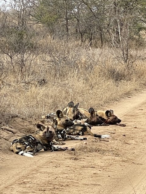 [Linked Image from i.postimg.cc]