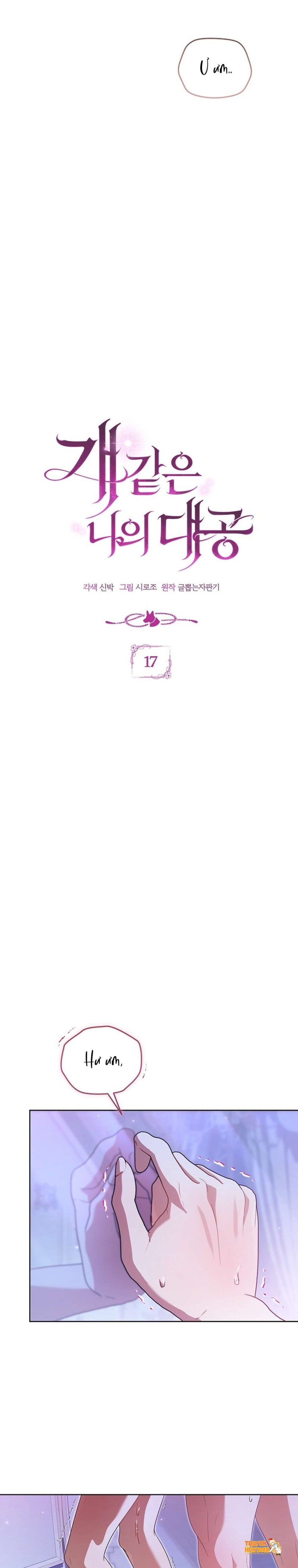 Xem ảnh [ 18+ ] Đại Công Tước Chó Má Của Tôi - Chapter 17 - tmpr1yvzyh7 - Truyenhentaiz.net