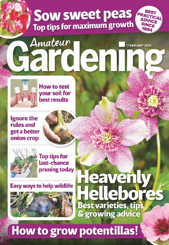 Amateur-Gardening-True-PDF-01-February-2020.jpg