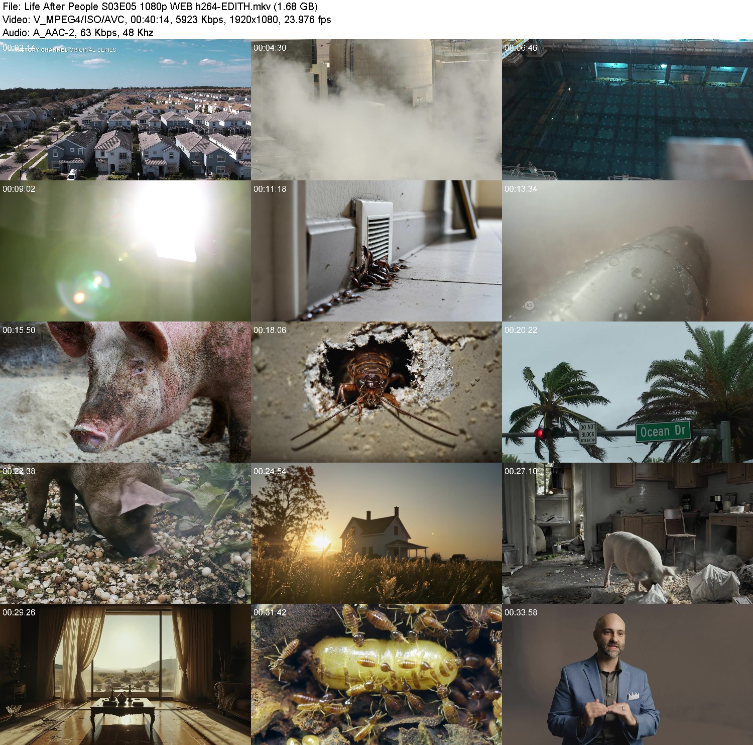 [Image: gvz90uv3z2qr.jpg]