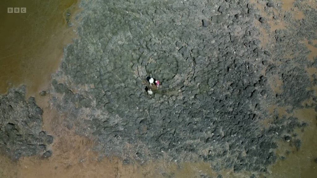 [Image: d63czgu6phl7.jpg]