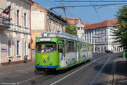 IMG-7399