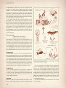 Dragon-Age-The-World-of-Thedas-v2-133