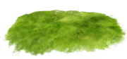 april-showers-SD-44