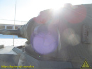 IMG-3487