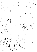 abdaacts Colossians3.12