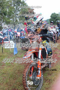 IMG-0021